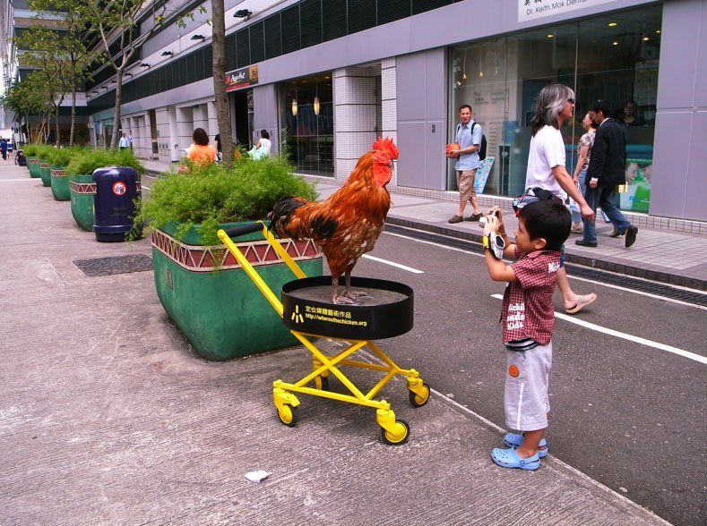 Chicken road online, chicken road spel