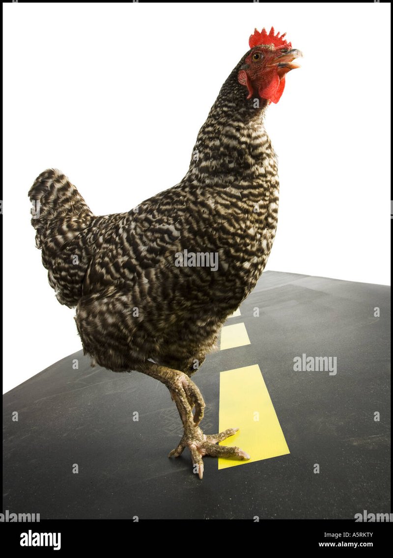 Descubre el Mundo Mágico de Chicken Road en España en Línea, chicken road